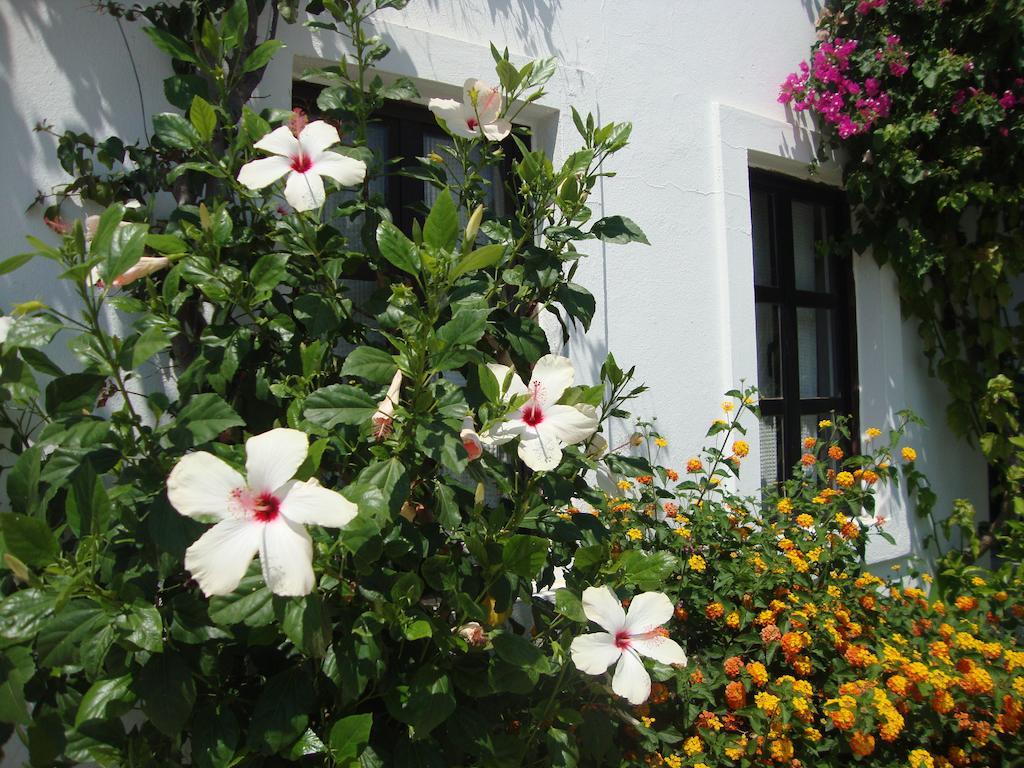 Mimosa Apart Hotel Gumbet Bagian luar foto